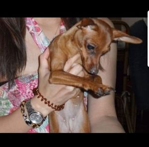 Meet your Posher, Sin man